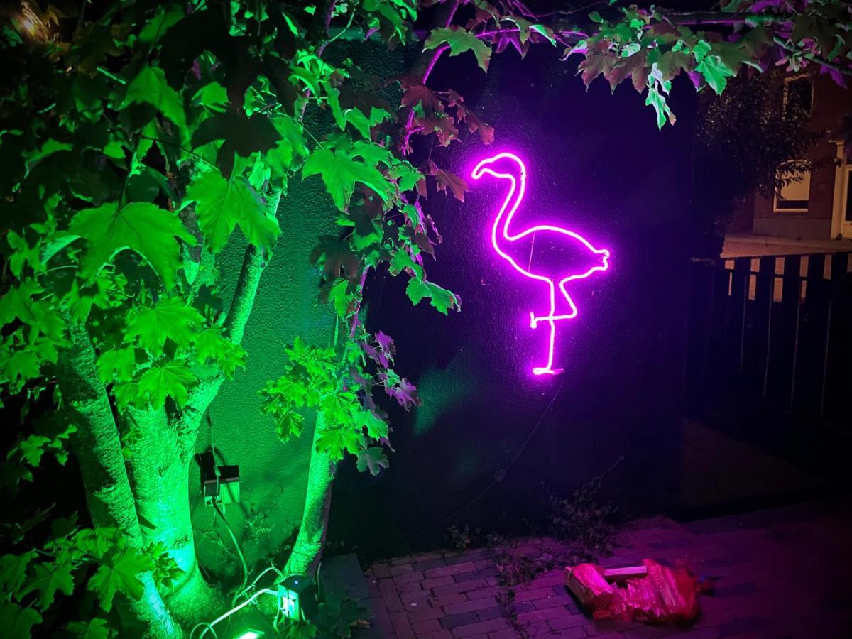 Schoondijke Flamingo Studio'S Zeeland מראה חיצוני תמונה